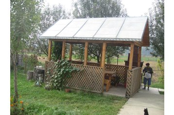 Румыния Privát Suceava, Экстерьер